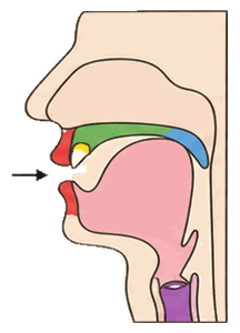 Mouth shape for ㄱ