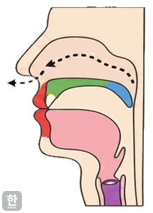 Side view of the mouth for final [m]