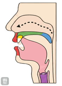Side view of the mouth for final [n]